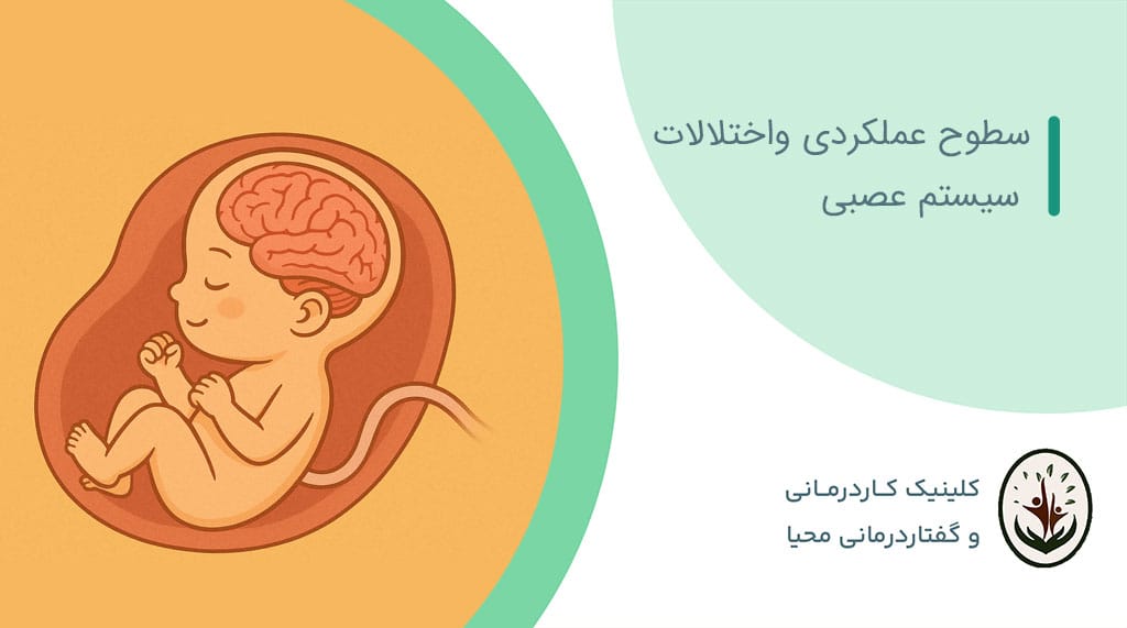 نوزاد سالم-دوران جنینی وتکامل عصبی