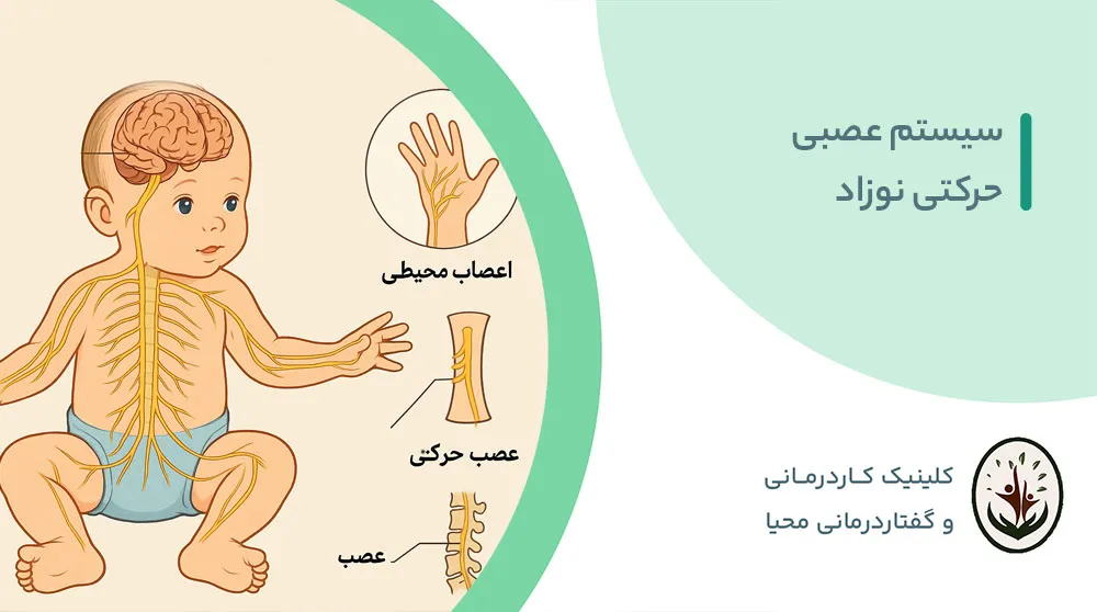 سیستم عصبی حرکتی نوزاد